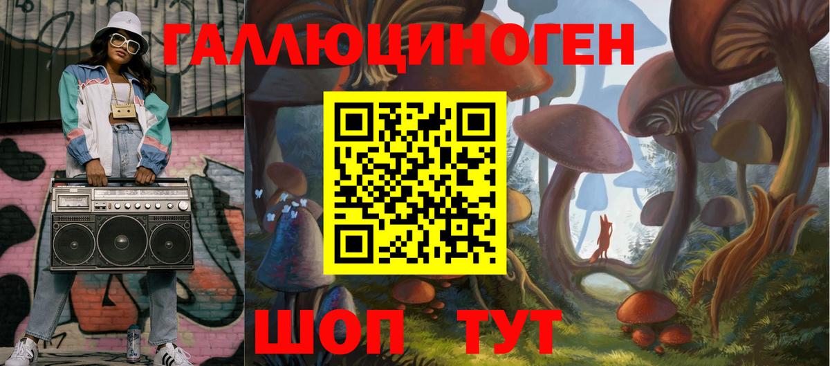 Чебоксары  Псилоцибиновые грибы Psilocybe  Вход с VPN  Галлюциногенные грибы Psilocybe 
